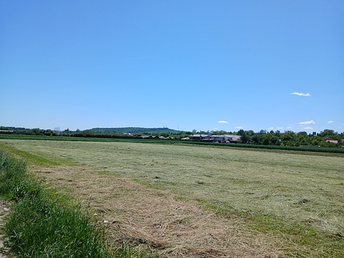 poza 9