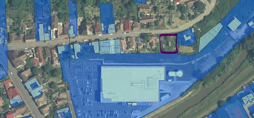 Poza 7