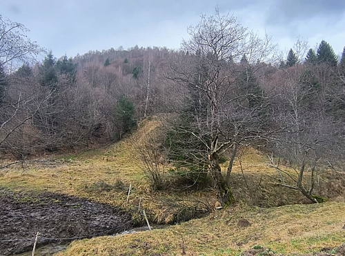 fotografie din care reiese calea de acces catre teren