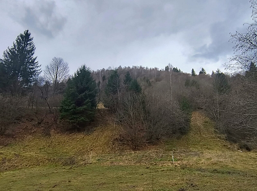 fotografie vecinatate nordica