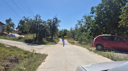 Poza_10