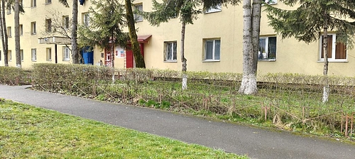 Zona imobil