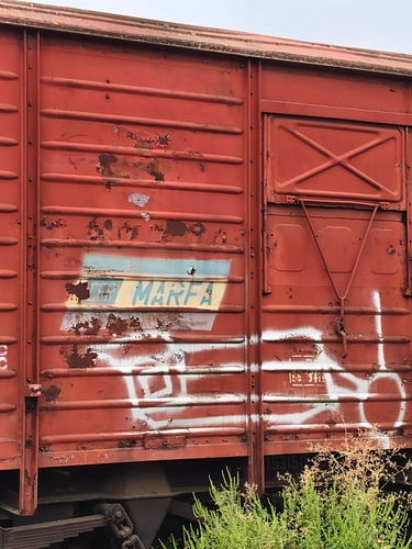 poza 2