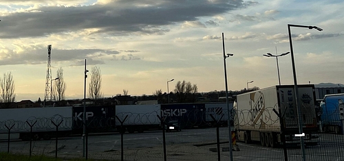 poza  5