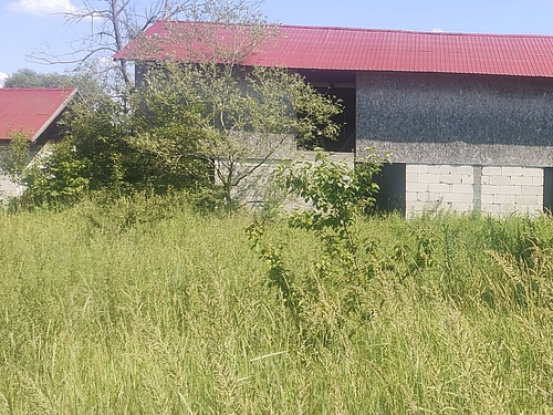 poza7