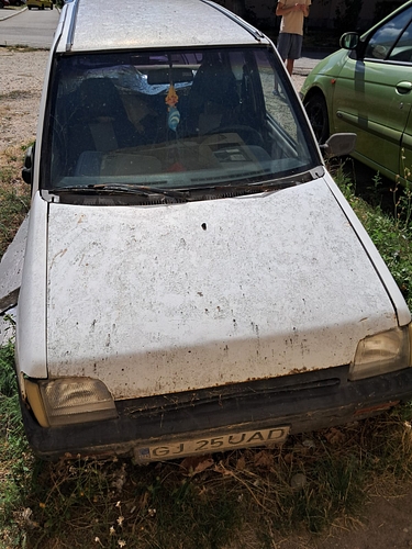 poza 12 
