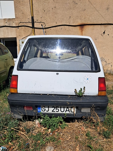 poza 13 