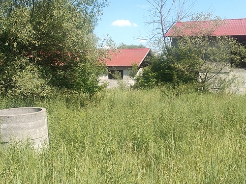 poza6