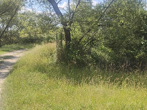 poza10