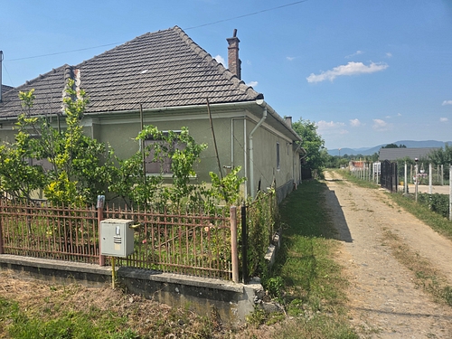 Foto5