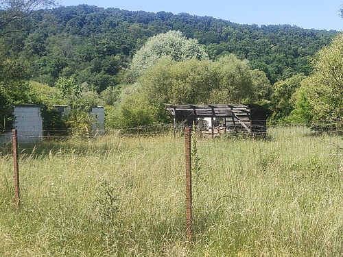poza12