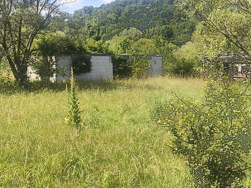 poza8