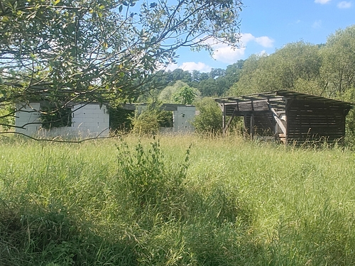 poza4