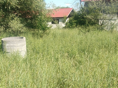 poza5
