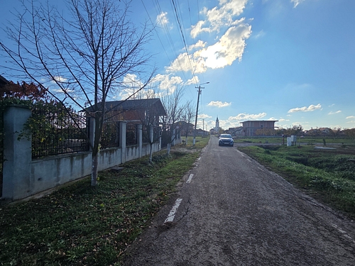 Poza nr 3
