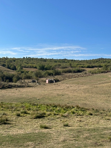 poza 4