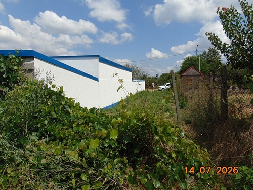 foto 9