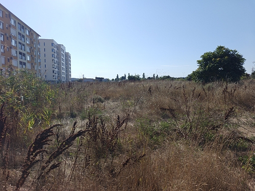 Imagine