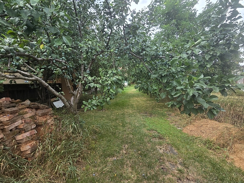 FOTO 8