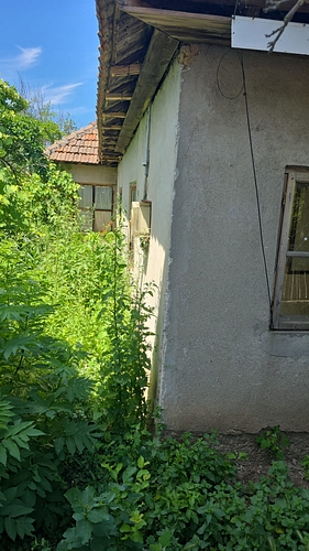 POZA 8
