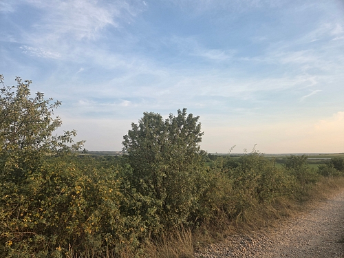 FOTO 6