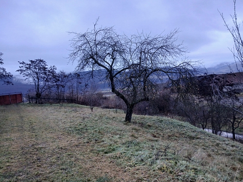 POZA