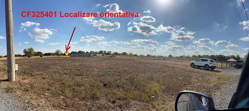 Poza 5