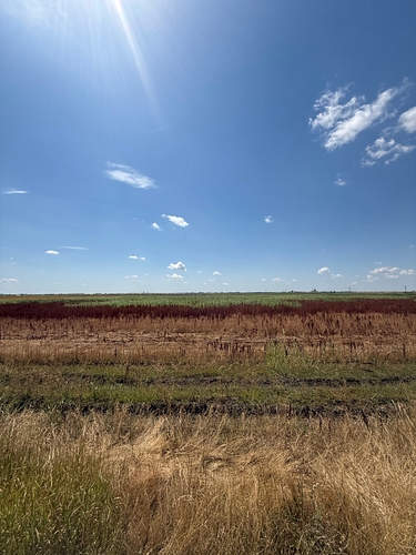 Vedere generala a terenului agricol arabil