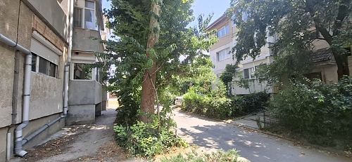 FOTO 8