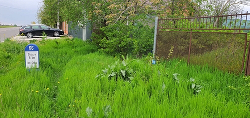 Vedere partiala a terenului
