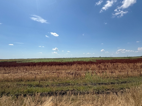 Vedere generala a terenului agricol arabil
