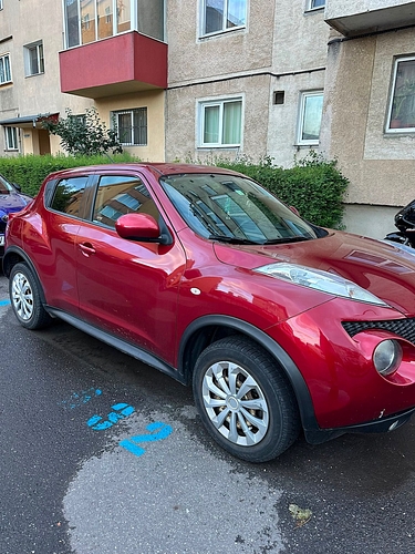 poza lateral dreapta