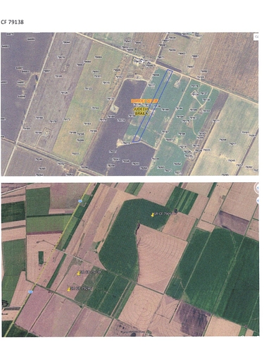 Geolocalizare