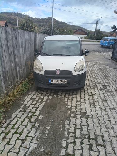 Poza 3