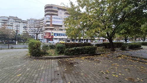 POZA 4